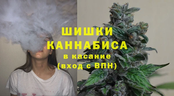 стаф Белокуриха