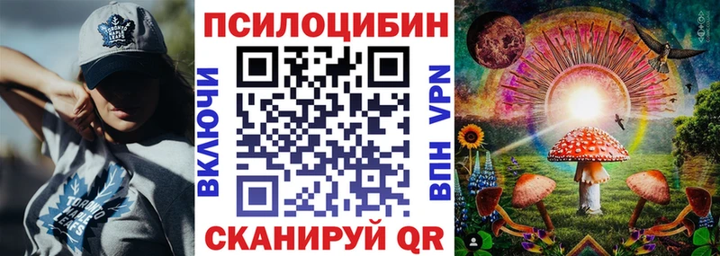 купить  сайты  Новоалександровск  Галлюциногенные грибы Cubensis 